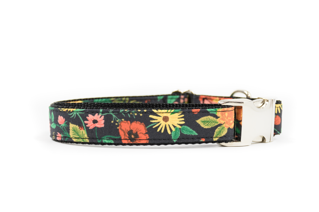Canadian dog leash company sale