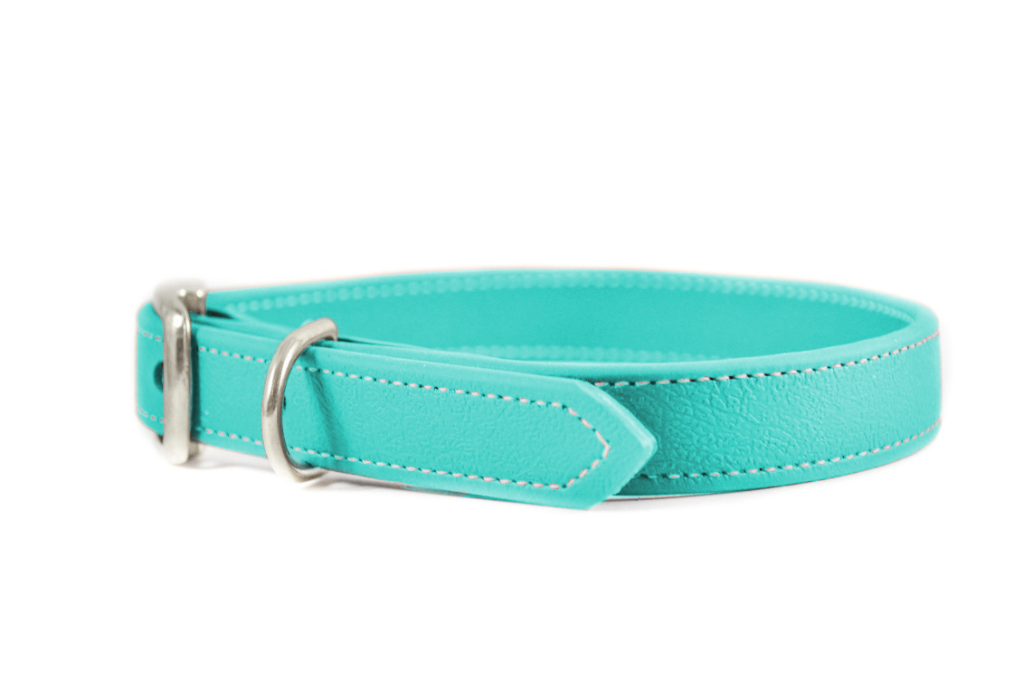 Pet Collar in Tiffany Blue Leather, Medium, Size: 11-14 in.