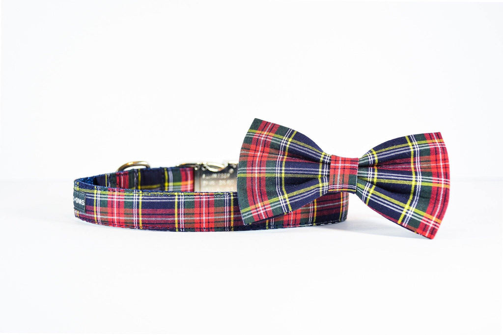 Classic Tartan Dog Bow Tie Danes & Divas 
