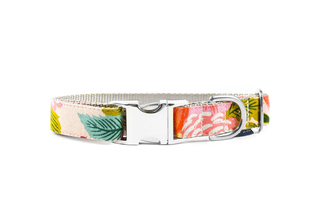 Meta Buckle Juliet Blush Floral Canvas Dog Collar