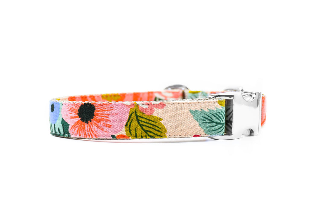 Juliet Blush Floral Canvas Dog Collar
