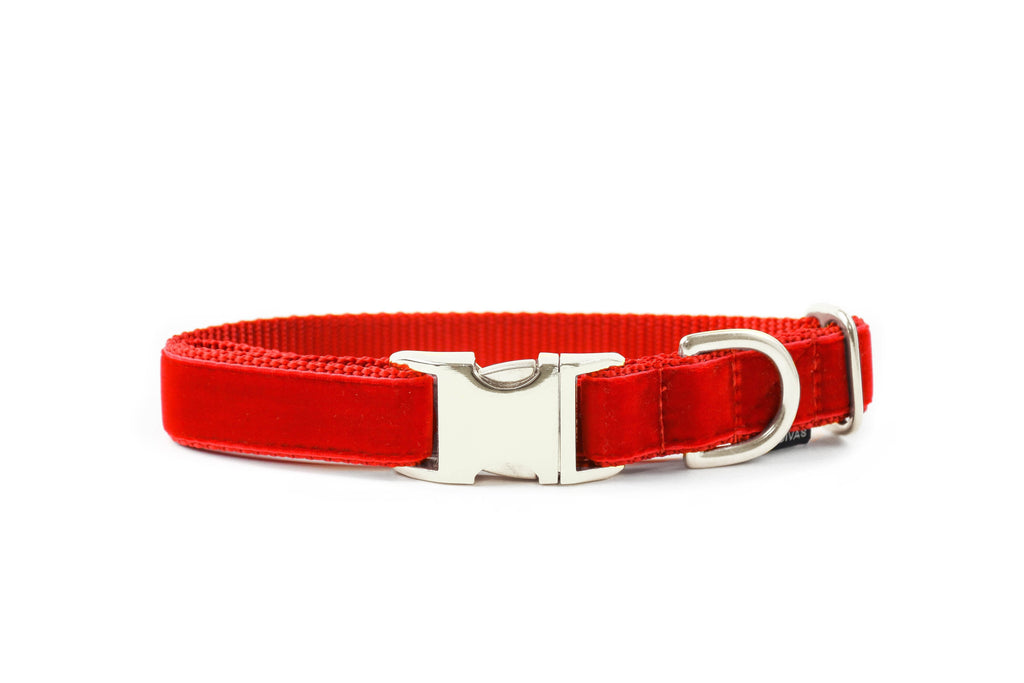 Nickel Buckle Ruby Red Velvet Collar