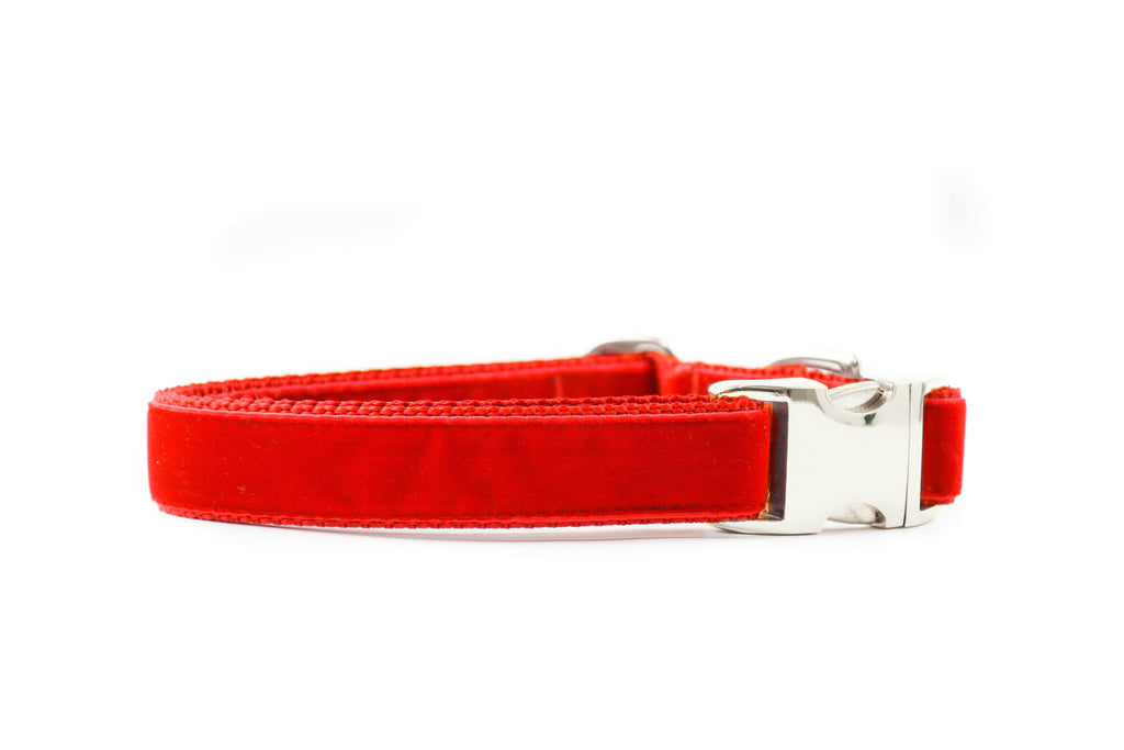 Ruby Red Velvet Collar